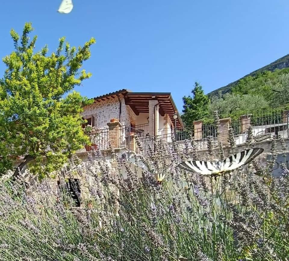 Pucci Country House Ferentillo Exterior photo